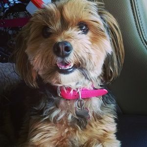 Meet your Posher, Gina